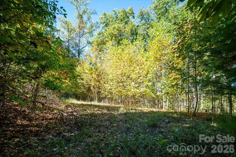 Big Laurel Road, Marshall, NC 28753 photo 12
