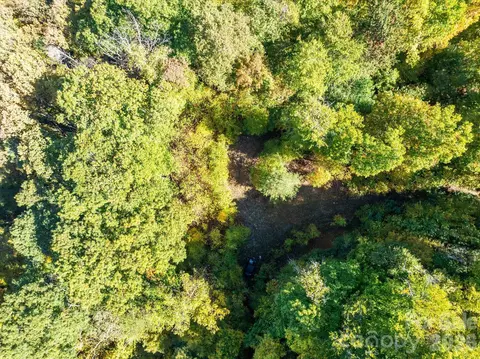 Big Laurel Road, Marshall, NC 28753 photo 6