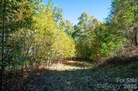 Big Laurel Road, Marshall, NC 28753 photo 10