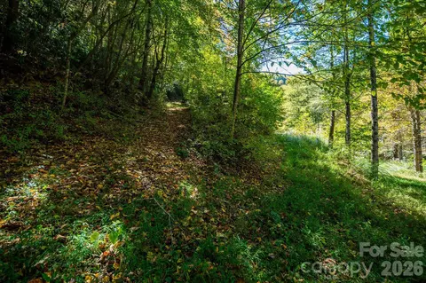 Big Laurel Road, Marshall, NC 28753 photo 18