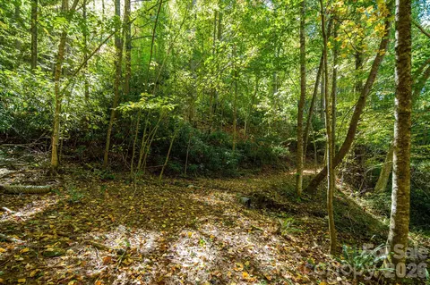 Big Laurel Road, Marshall, NC 28753 photo 19