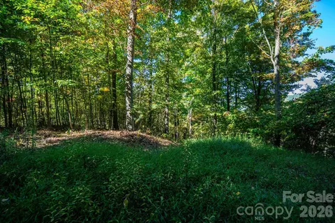 Big Laurel Road, Marshall, NC 28753 photo 9