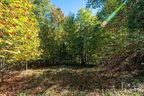 Big Laurel Road, Marshall, NC 28753 photo 11