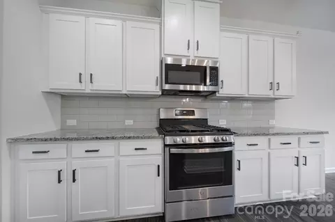 Other - 620 Amber Meadows Way, Tega Cay, SC 29708 photo 4 of 19