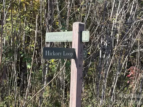 Hickory Loop, Rutherfordton, NC 28139 photo 4