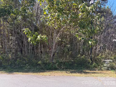 Hickory Loop, Rutherfordton, NC 28139 photo 7