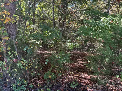 Hickory Loop, Rutherfordton, NC 28139 photo 9