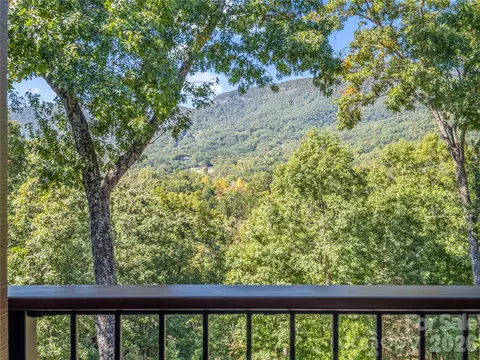 Exterior - 815 E Deep Gap Farm 35 Rd #35, Mill Spring, NC 28756 photo 3 of 14
