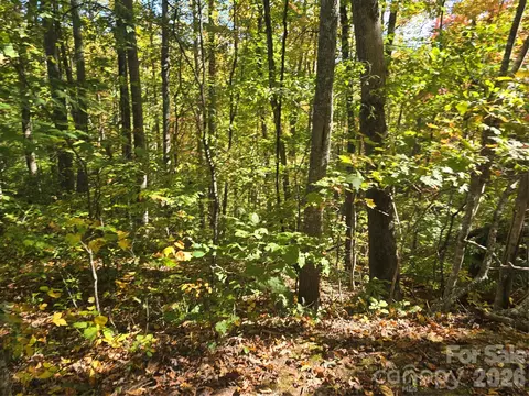 98 Hosta Dr, Sylva, NC 28779 photo 4