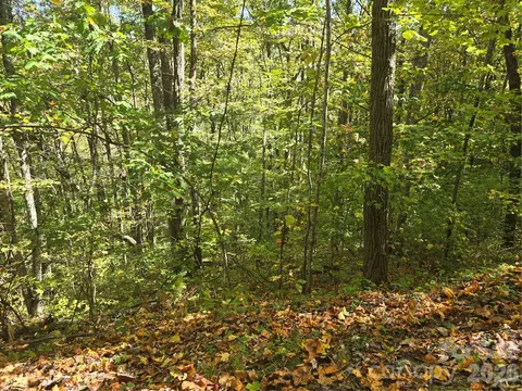 98 Hosta Dr, Sylva, NC 28779 photo 6