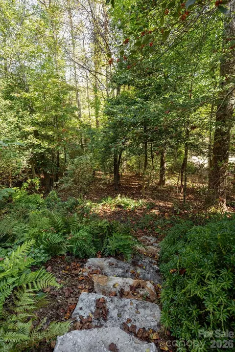 Other - 70 Meadow View Rd, Brevard, NC 28712 photo 13 of 16