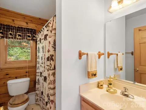Bath - 807 Pine Tree Rd, Spruce Pine, NC 28777 photo 2 of 2
