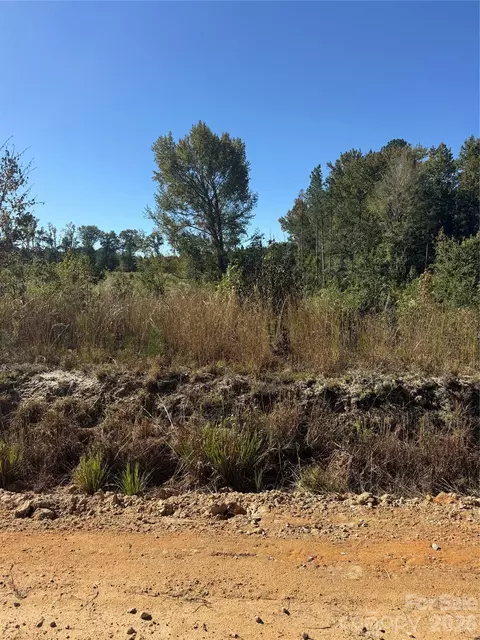 Rock House Road, Mount Croghan, SC 29727