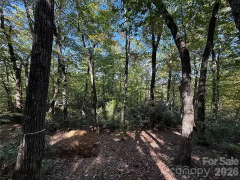 Kenmure Drive, Flat Rock, NC 28731 photo 18