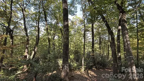 Kenmure Drive, Flat Rock, NC 28731 photo 29