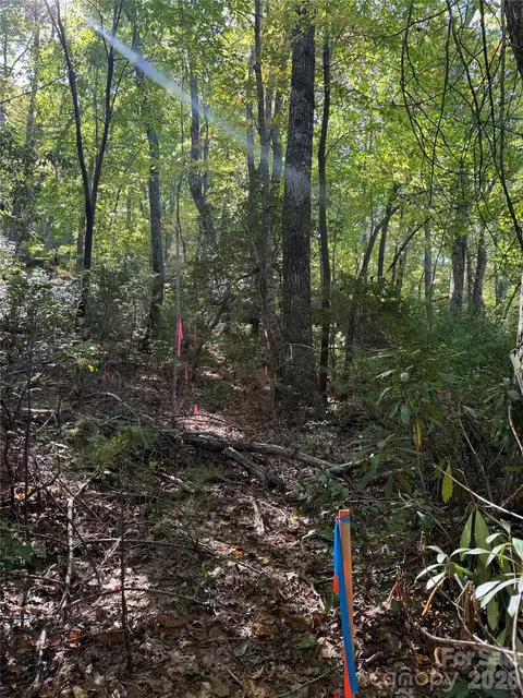 Kenmure Drive, Flat Rock, NC 28731 photo 6