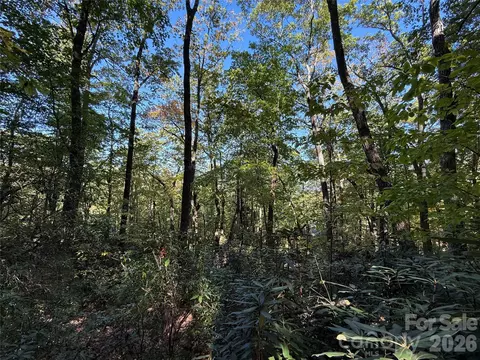 Kenmure Drive, Flat Rock, NC 28731 photo 23