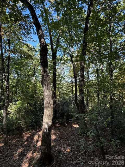 Kenmure Drive, Flat Rock, NC 28731 photo 16