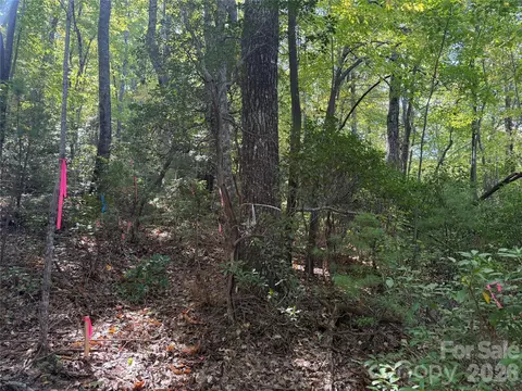 Kenmure Drive, Flat Rock, NC 28731 photo 8