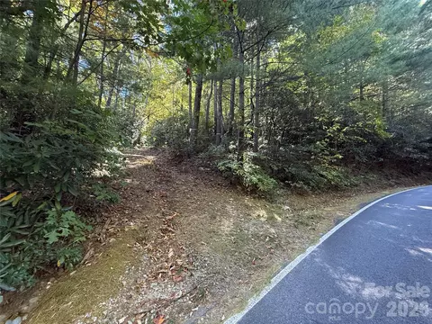 Kenmure Drive, Flat Rock, NC 28731 photo 33