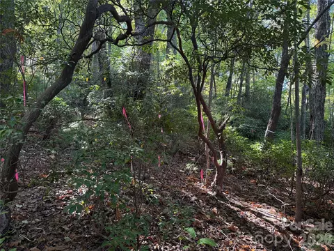Kenmure Drive, Flat Rock, NC 28731 photo 12