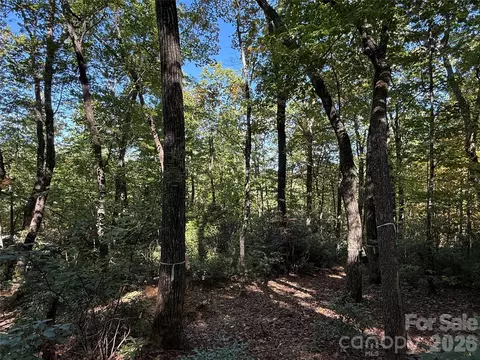 Kenmure Drive, Flat Rock, NC 28731 photo 20