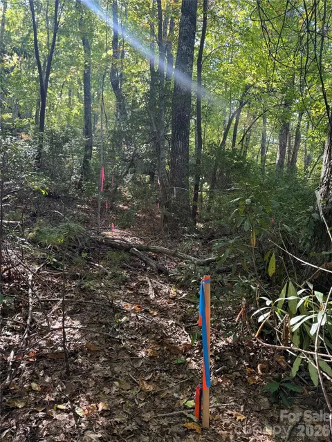 Kenmure Drive, Flat Rock, NC 28731 photo 7