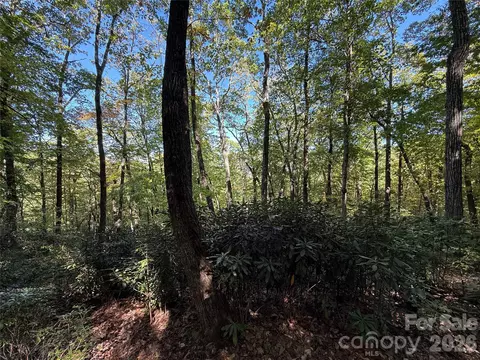 Kenmure Drive, Flat Rock, NC 28731 photo 24