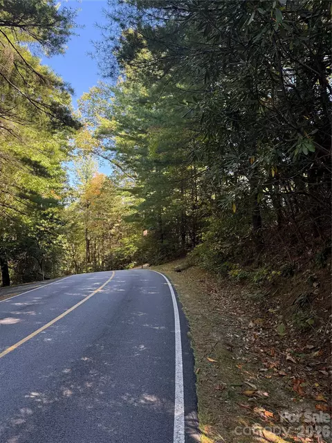 Kenmure Drive, Flat Rock, NC 28731 photo 37