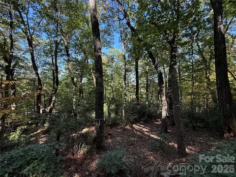 Kenmure Drive, Flat Rock, NC 28731 photo 21