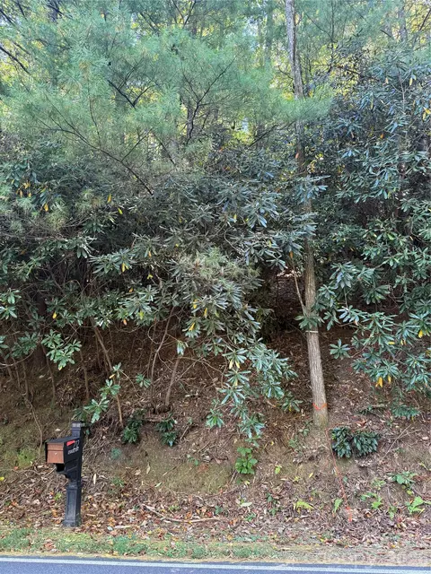 Kenmure Drive, Flat Rock, NC 28731 photo 3