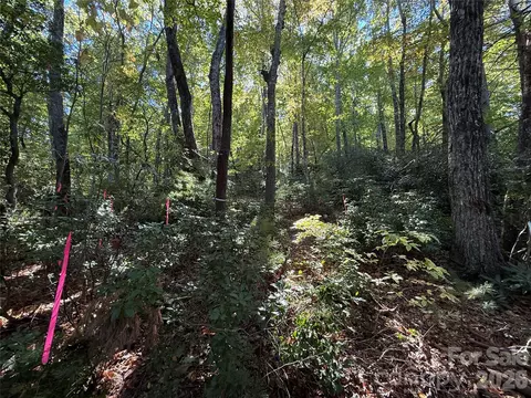 Kenmure Drive, Flat Rock, NC 28731 photo 31