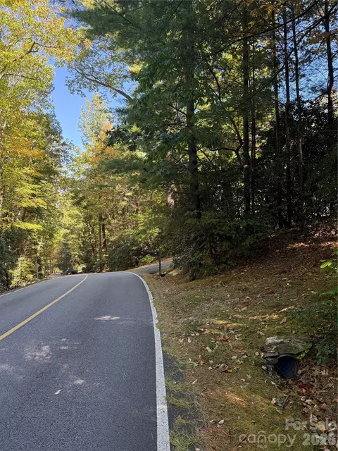 Kenmure Drive, Flat Rock, NC 28731 photo 36