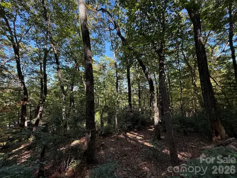 Kenmure Drive, Flat Rock, NC 28731 photo 19