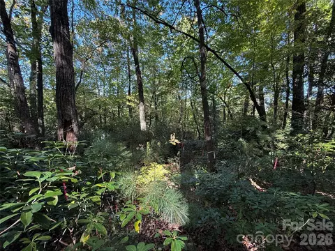 Kenmure Drive, Flat Rock, NC 28731 photo 30