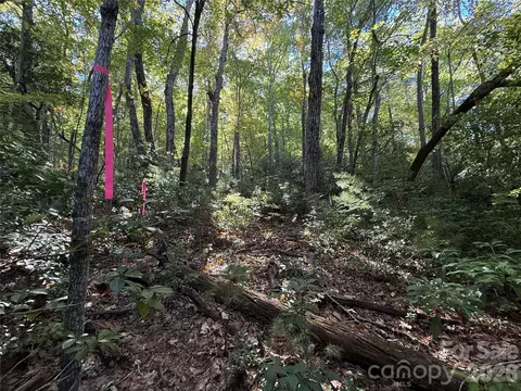 Kenmure Drive, Flat Rock, NC 28731 photo 32
