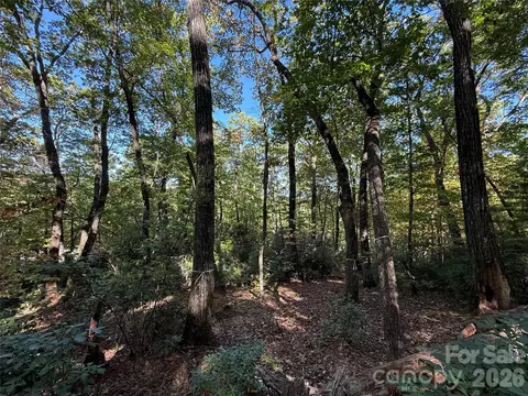 Kenmure Drive, Flat Rock, NC 28731 photo 28