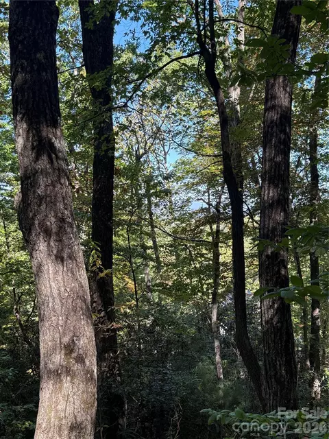 Kenmure Drive, Flat Rock, NC 28731 photo 17