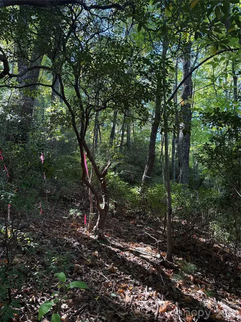 Kenmure Drive, Flat Rock, NC 28731 photo 13