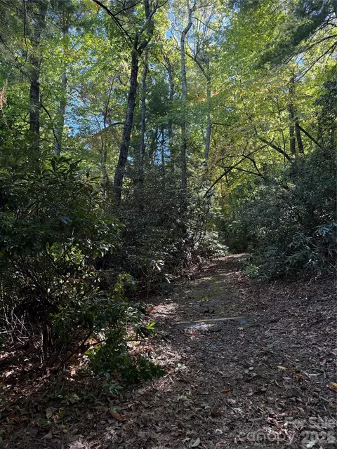 Kenmure Drive, Flat Rock, NC 28731 photo 4