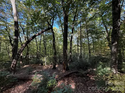 Kenmure Drive, Flat Rock, NC 28731 photo 27