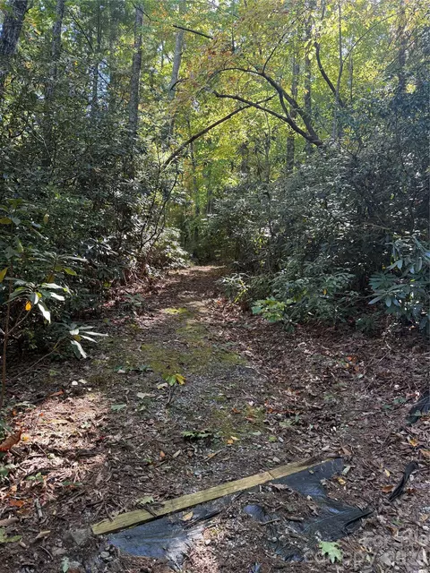 Kenmure Drive, Flat Rock, NC 28731 photo 5