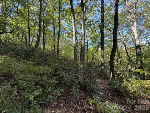 Kenmure Drive, Flat Rock, NC 28731 photo 26