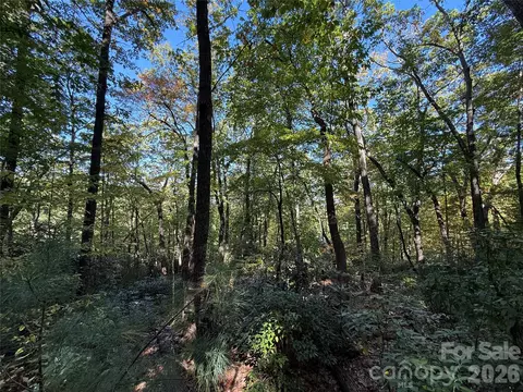Kenmure Drive, Flat Rock, NC 28731 photo 22