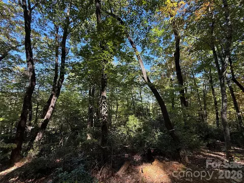 Kenmure Drive, Flat Rock, NC 28731 photo 14