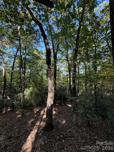 Kenmure Drive, Flat Rock, NC 28731 photo 15