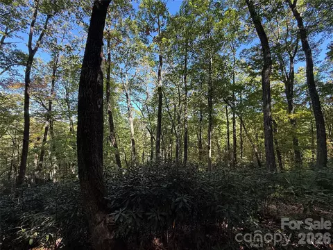 Kenmure Drive, Flat Rock, NC 28731 photo 25
