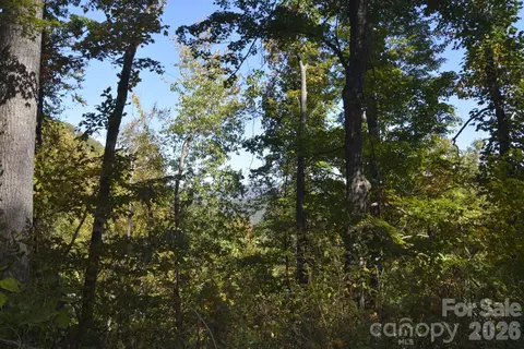 00 Bedford Rd, Barnardsville, NC 28709
