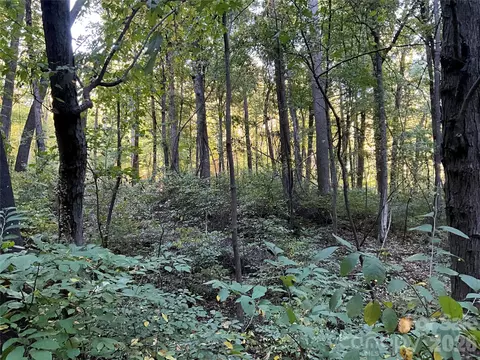 Bolt Road, Lake Lure, NC 28746
