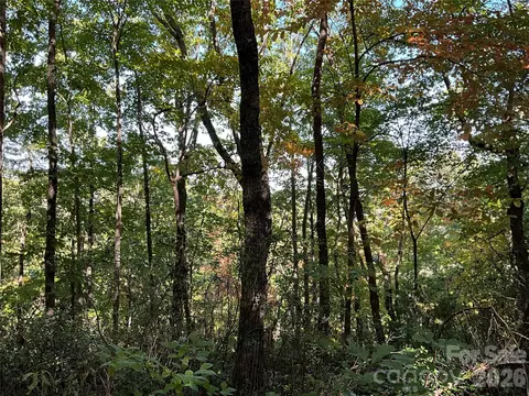 Bolt Road, Lake Lure, NC 28746
